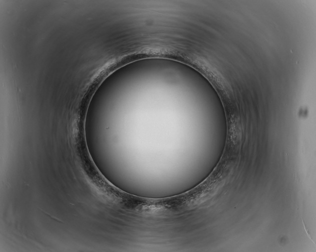 X0000098230208200805011306