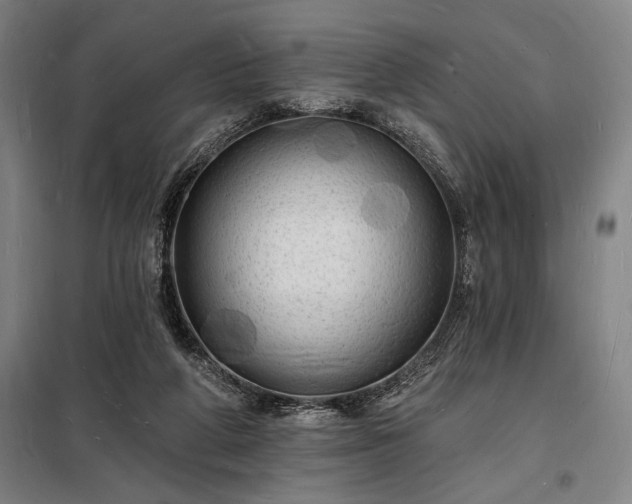 X0000098230210200805011306