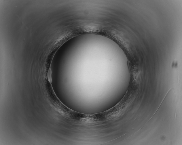 X0000098230211200805011306