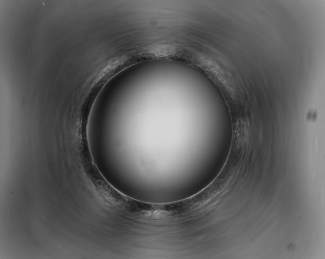 X0000098230212200805011306