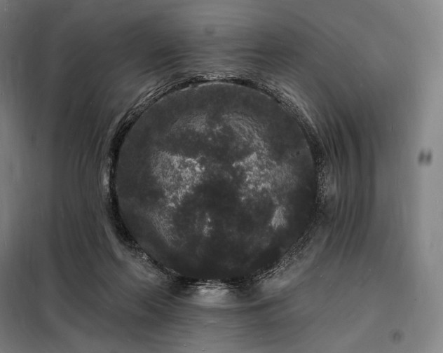 X0000098230214200805011305
