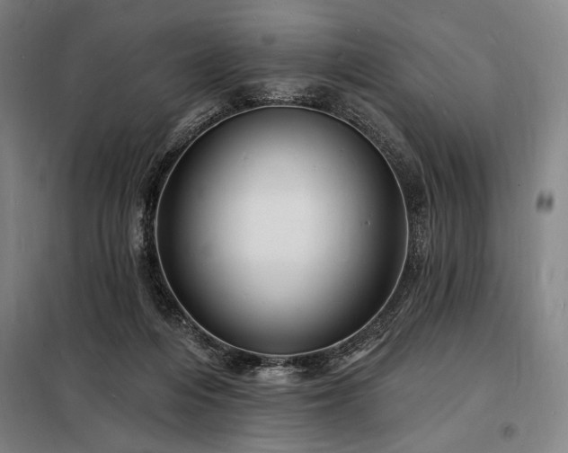 X0000098230216200805011305