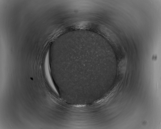 X0000098230217200805011305