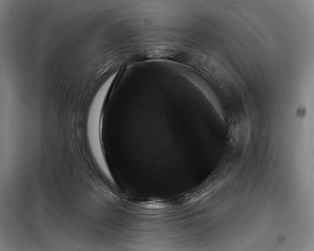X0000098230219200805011305