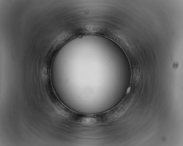 X0000098230220200805011305