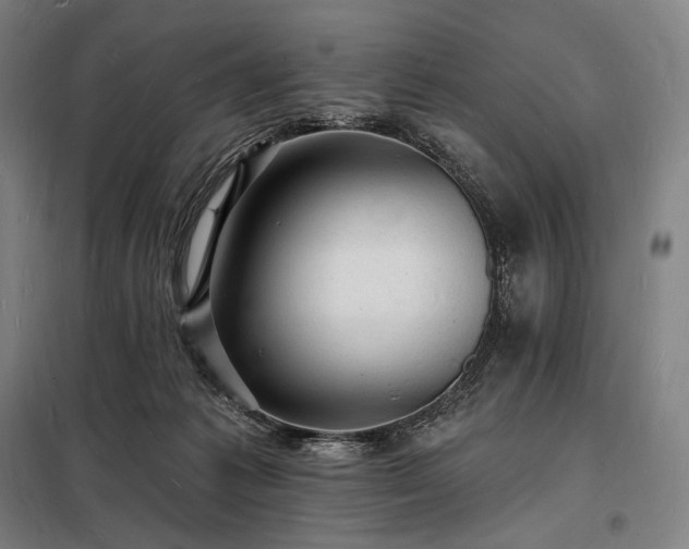 X0000098230221200805011305