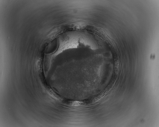 X0000098230222200805011305