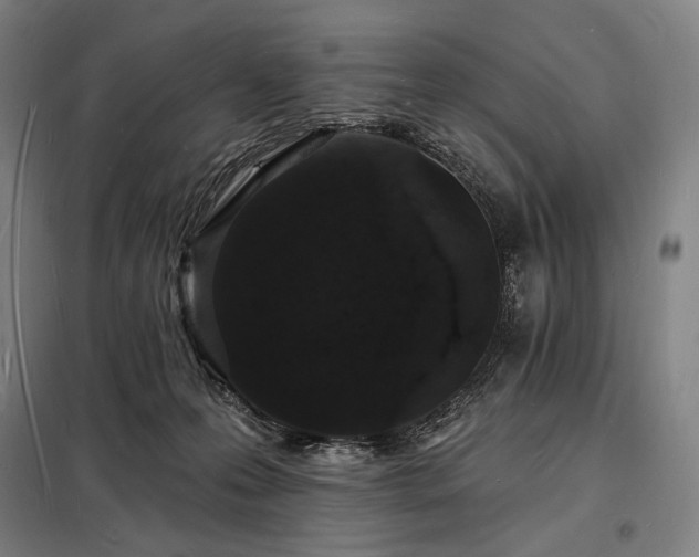 X0000098230223200805011305
