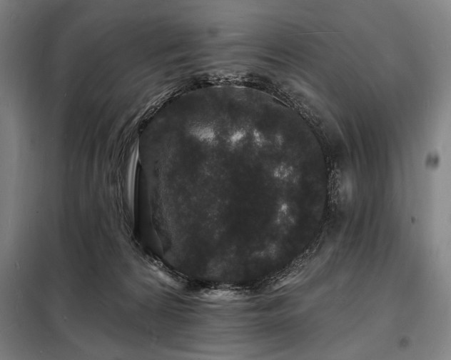 X0000098230224200805011305