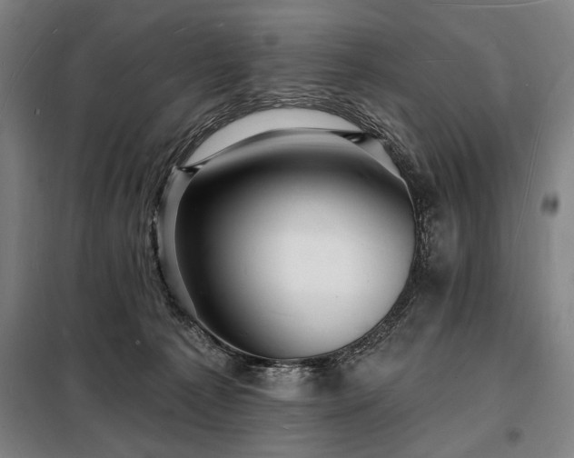 X0000098230225200805011305