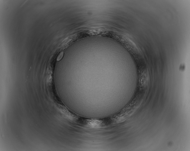 X0000098230226200805011305