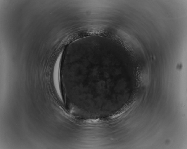 X0000098230227200805011305