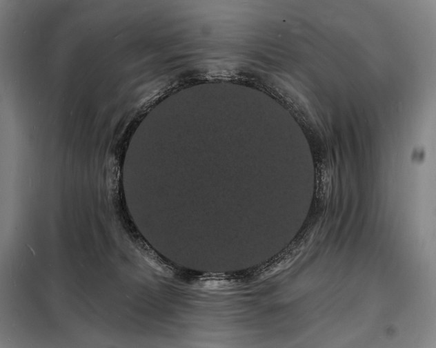 X0000098230228200805011305