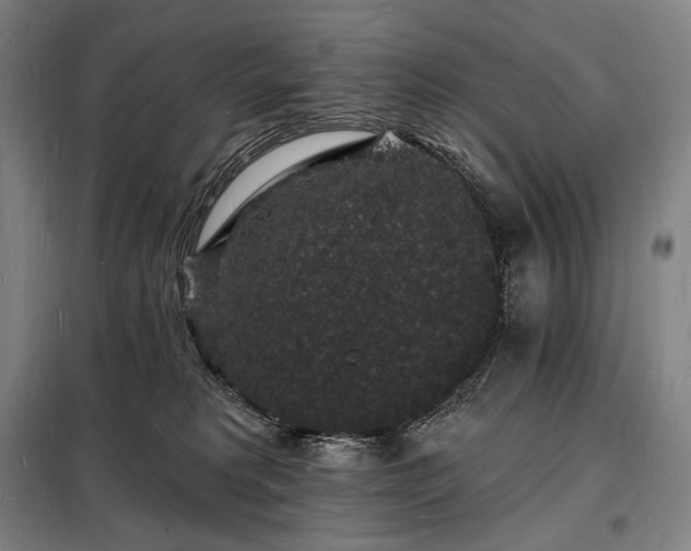 X0000098230229200805011305