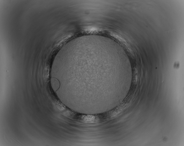 X0000098230230200805011305