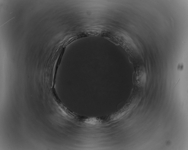 X0000098230231200805011305