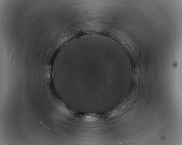 X0000098230232200805011305