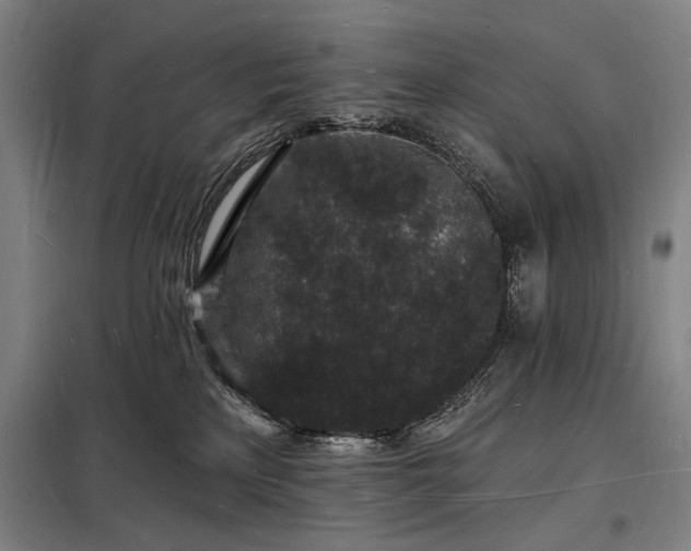 X0000098230233200805011305