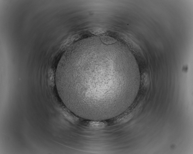 X0000098230234200805011305