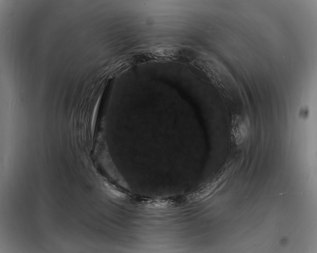 X0000098230235200805011305