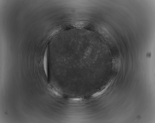 X0000098230237200805011305