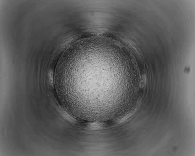X0000098230238200805011305