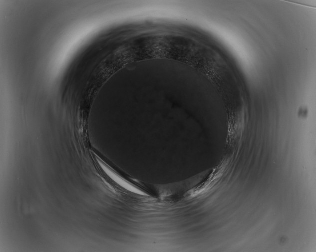 X0000098230239200805011305