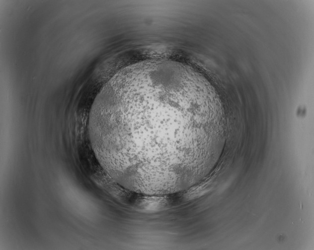X0000098230240200805011305