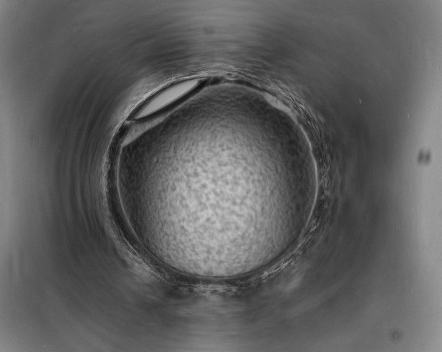 X0000098230242200805011304