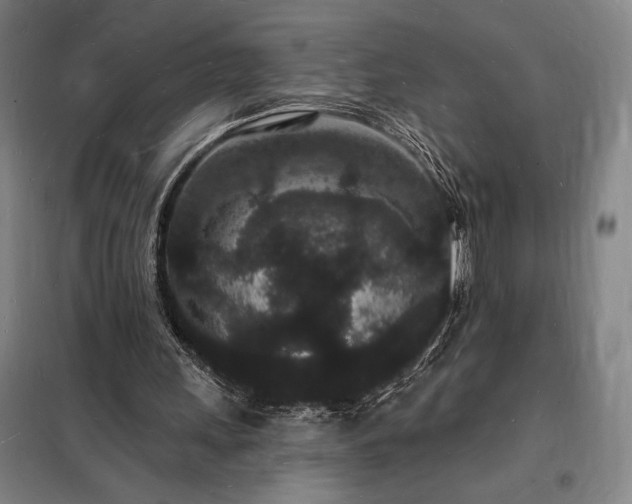 X0000098230243200805011305
