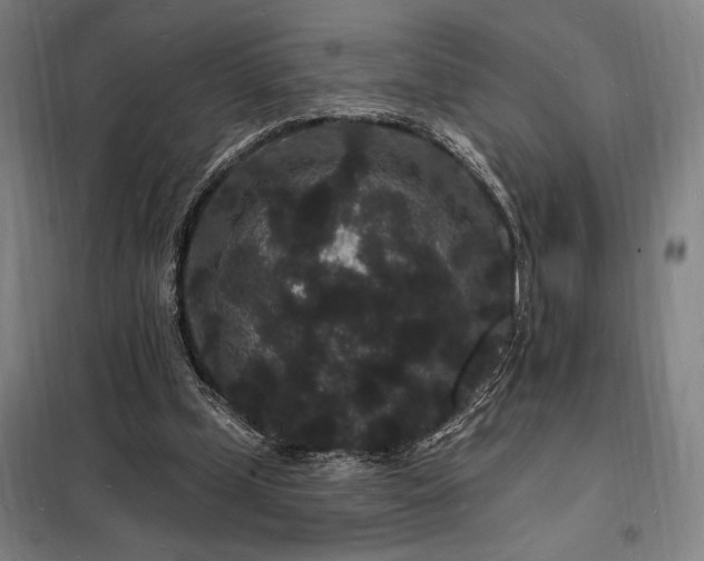 X0000098230249200805011305