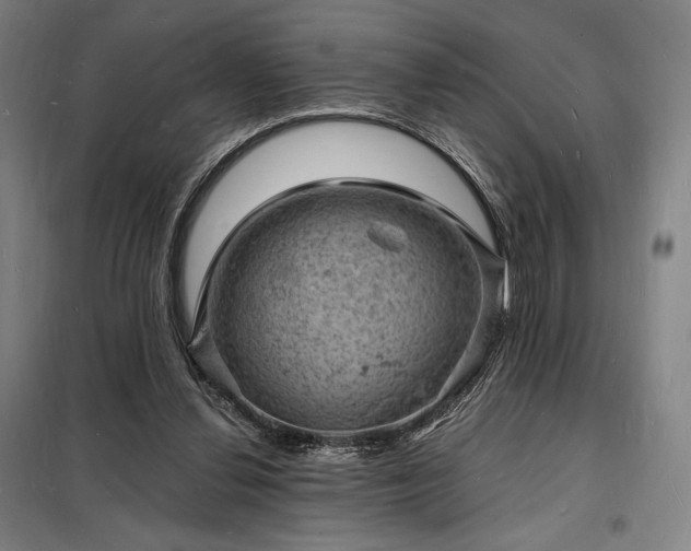X0000098230252200805011305