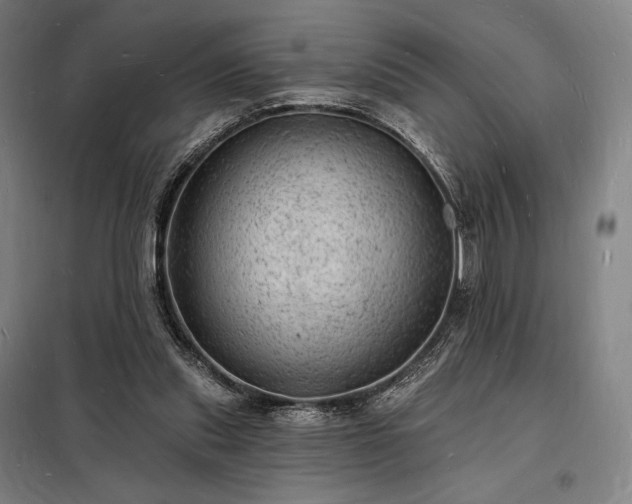X0000098230253200805011305