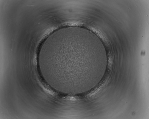 X0000098230254200805011305