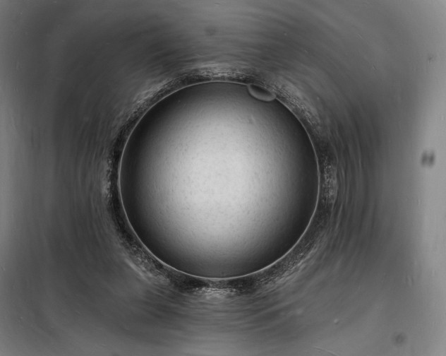 X0000098230255200805011305
