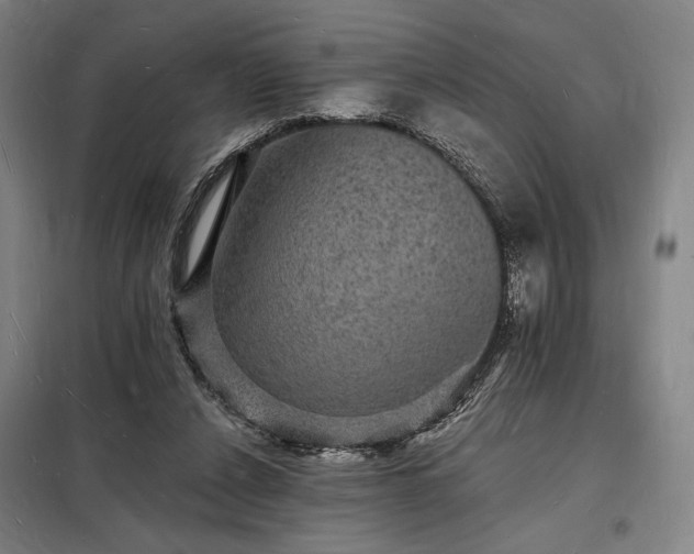 X0000098230256200805011305