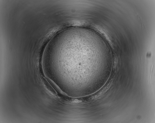 X0000098230257200805011305