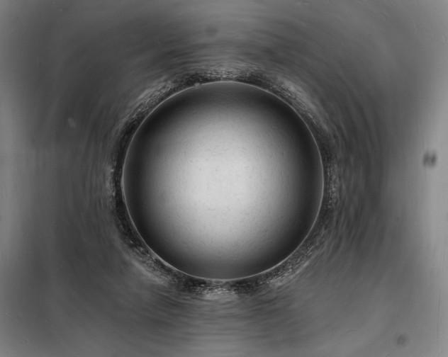 X0000098230258200805011305
