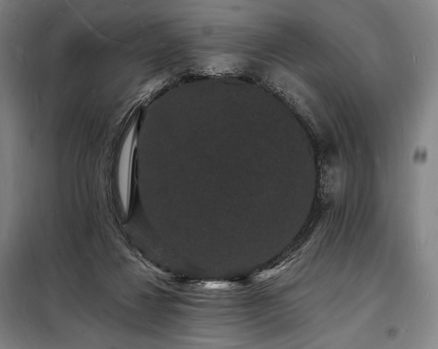 X0000098230260200805011305