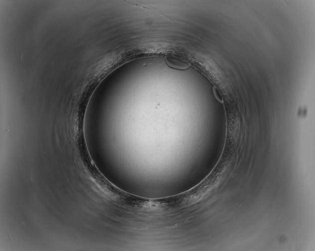 X0000098230261200805011305