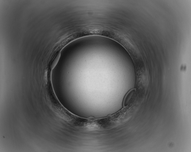 X0000098230262200805011305