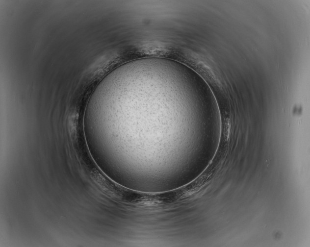 X0000098230263200805011305
