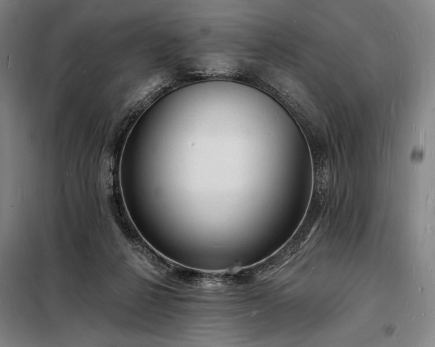 X0000098230264200805011305