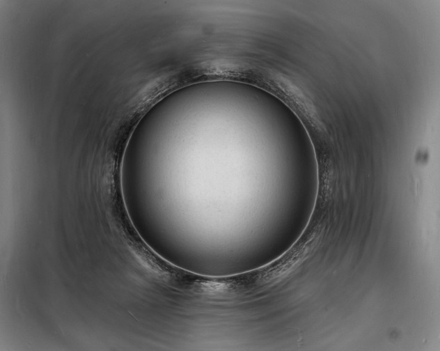 X0000098230265200805011305