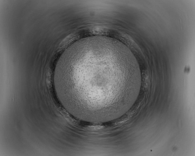 X0000098230266200805011305
