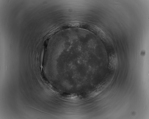 X0000098230267200805011305