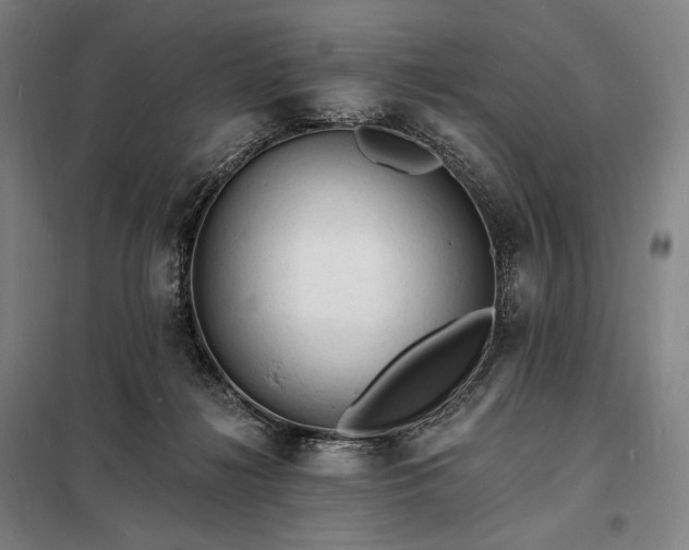 X0000098230268200805011305