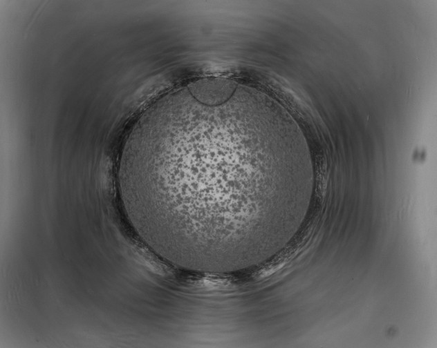 X0000098230270200805011305