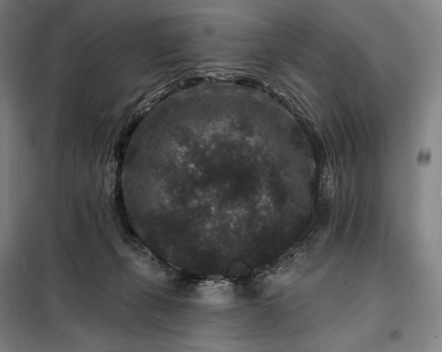 X0000098230271200805011305