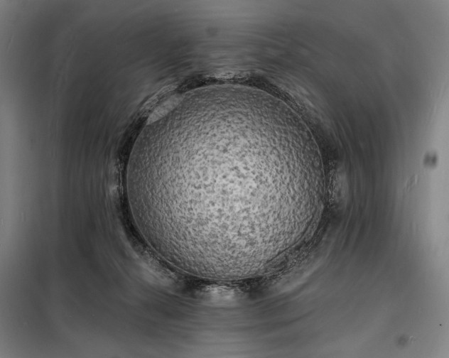 X0000098230272200805011305